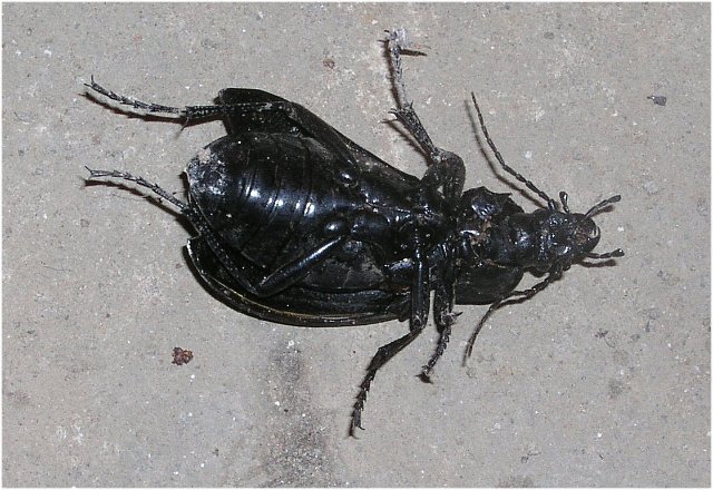 Who Cares Times — photo 38